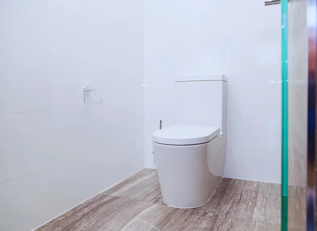 Remplacement de wc Auterive